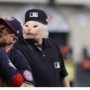 Meet your Posher, Hunson